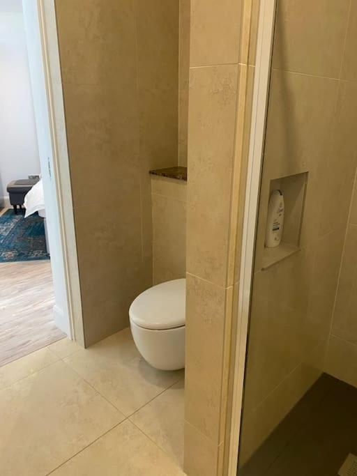 Beautiful Garden Apartment With Private Patio And Garden View Dublin Dış mekan fotoğraf