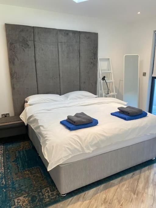 Beautiful Garden Apartment With Private Patio And Garden View Dublin Dış mekan fotoğraf