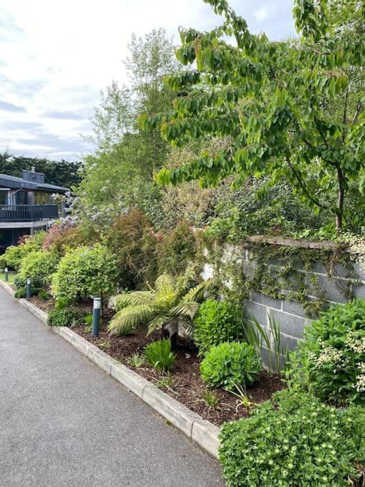 Beautiful Garden Apartment With Private Patio And Garden View Dublin Dış mekan fotoğraf