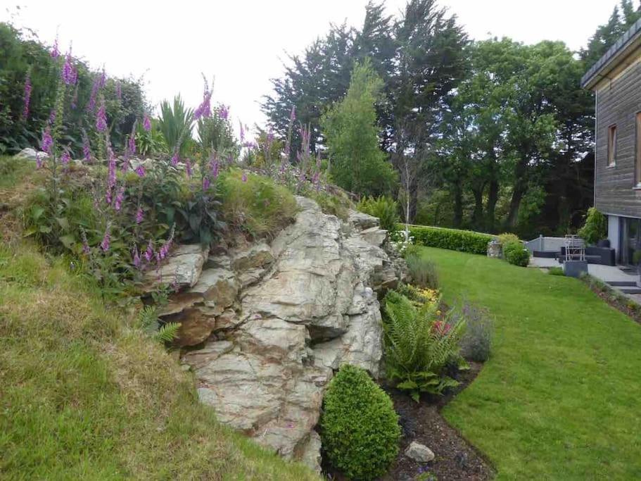 Beautiful Garden Apartment With Private Patio And Garden View Dublin Dış mekan fotoğraf