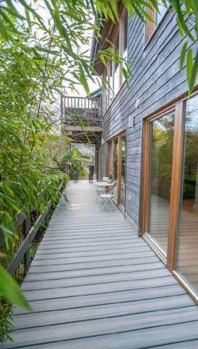 Beautiful Garden Apartment With Private Patio And Garden View Dublin Dış mekan fotoğraf